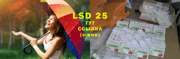 PSILOCYBIN Алексеевка