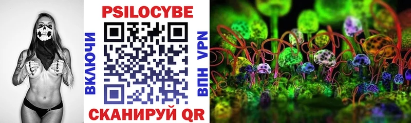 Псилоцибиновые грибы Magic Shrooms  купить наркоту  Амурск 