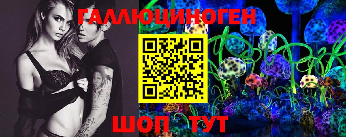Псилоцибиновые грибы Cubensis Амурск