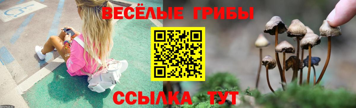 Амурск  Псилоцибиновые грибы MAGIC MUSHROOMS  Вход с VPN 